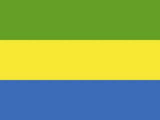 Fototapeta premium Official national flag of Gabon