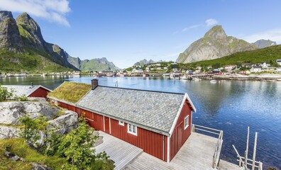 Obraz premium Red house with a view over the fjord in summer, Reine or Rorbuer Rorbu fishing village, Reinefjord, Moskenesøy, Lofoten, Norway, Europe