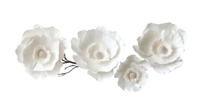 Decorative white flowers arranged artistically for a modern home aesthetic in bright, minimalistic decor