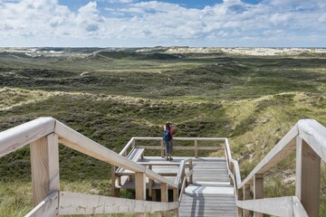 Fototapeta premium Dune landscape with lookout point, Listland, North Sylt Nature Reserve, List, Sylt, Schleswig-Holstein, Germany, Europe