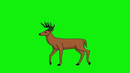 2D Animation of an Brown Deer Walking in Place with Movement (Looping) on ​​a Green Screen Background