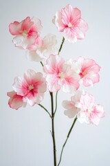 A beautiful vase filled with pink and white flowers