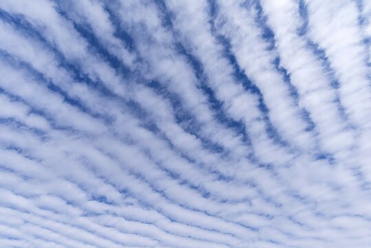 Clouds, Altocumulus stratiformis perlucidus undulatus, Bavaria, Germany, Europe