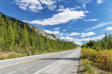 Highway Icefields Parkway, Highway 93, Canadian Rockies, Alberta Province, Canada, North America