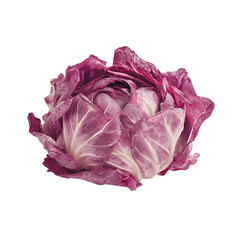 Fototapeta premium Vibrant Red Cabbage on Black Background