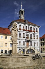 Town hall on the market place Altmarkt, Bischofswerda, district Bautzen, Saxony, Germany, Europe