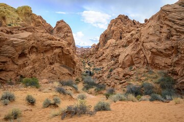 Obraz premium Rainbow Vista Trail, red sandstone rocks, Mojave desert, sandstone formation, Valley of Fire State Park, Nevada, USA, North America