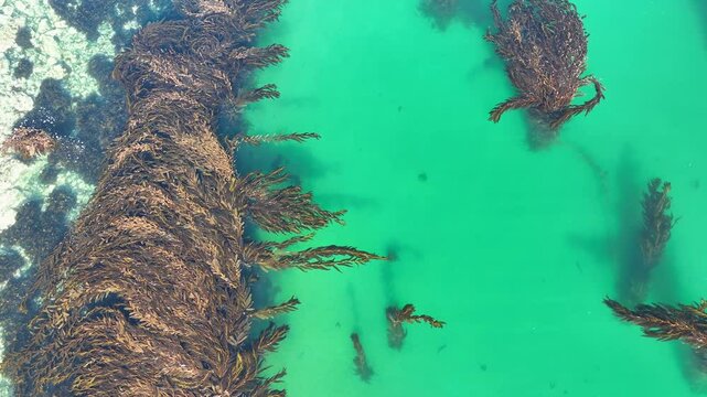 Dron Ushuaia, Playa larga, Tierra del Fuego