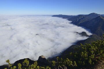 Sea of fog over Kochelsee, Bavarian Alps, Bavaria, Germany, Europe