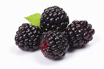 Four blackberry fruits on white background. KI generiert, generiert AI generated