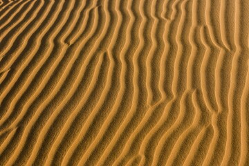 Structures, sand dunes, Rub' al Khali or Empty Quarter, United Arab Emirates, Asia