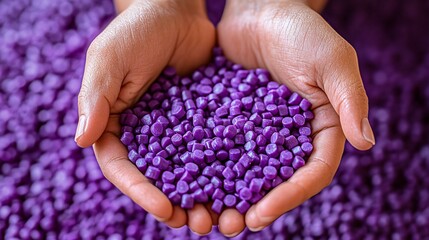 Close-up of purple biodegradable plastic pellets in hands, representing environmentally responsible materials for sustainable living and eco-conscious choices.