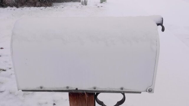 Checking the Mailbox During a Snow Storm