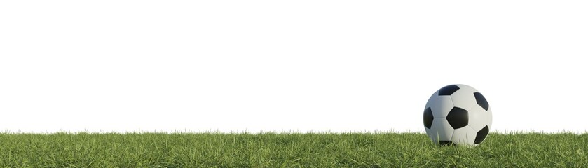 Fototapeta premium Soccer ball on grass panorama background with space for your text, photo realistic 3d rendering