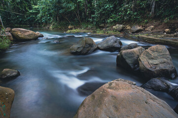 Water Flowing Around Rocks in a Forest River