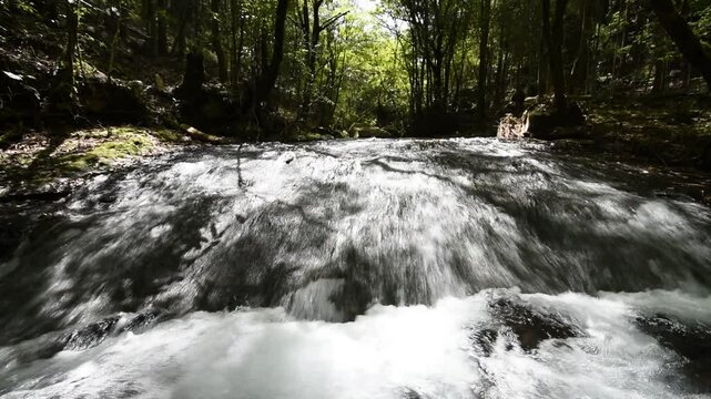 森の下の滑らかな斜面を流れる川