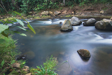 Water Flowing Around Rocks in a Forest River