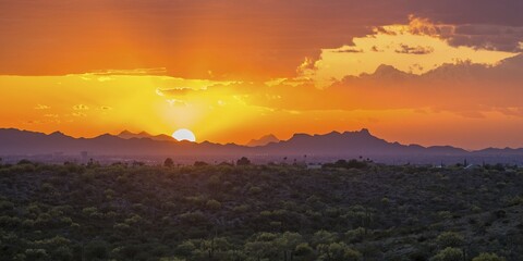 Sonora Desert at sunset, Saguaro National Park, Tucson, Arizona, USA, North America