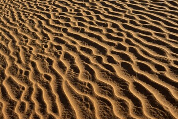 Sand ripples, texture on a sanddune, Sahara desert, North Africa, Algeria, Africa