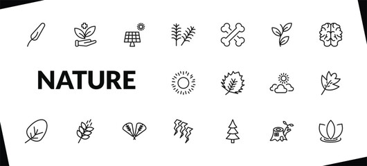 outline nature icons set. editable linear treatments, solar, yew leaf, and other 15 icons in this category isolated on transparent background.