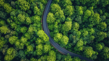 Aerial view of winding road through lush green forest, showcasing vibrant foliage and natural beauty. scene evokes sense of tranquility and adventure