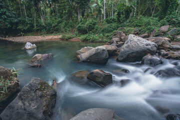 Water Flowing Around Rocks in a Forest River