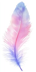 Obraz premium Delicate Pastel Feather in Close-up
