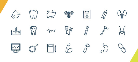outline medical icons set. editable linear premolar, liver, uterus, and other 18 icons in this category isolated on transparent background.
