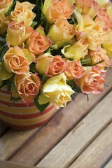 Colourful bunch of roses in a flowerpot