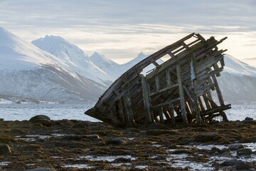 Shipwreck at sunrise and low tide near Tisnes Peninsula, Tromsoe, Norway, Europe