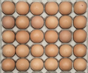 Brown eggs lined up in an egg carton