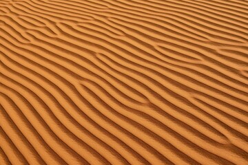Sand ripples, texture on a sanddune, Tassili n'Ajjer National Park, Sahara, Algeria, Africa