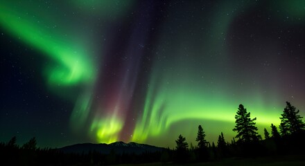 "Northern Lights: A Magical Winter Landscape under the Aurora Borealis"