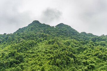 Evergreen rainforest, Phong Nha-Ke Bang National Park, Quảng Bình, Vietnam, Asia