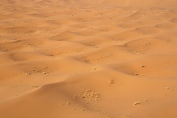 Dunes at Erg Chebbi Morocco
