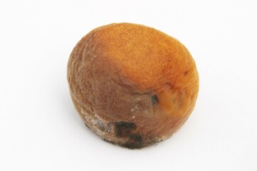 Mouldy apricot