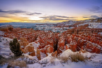 Amphitheatre at sunrise, snow-covered bizarre rocky landscape with Hoodoos in winter, Rim Trail,...