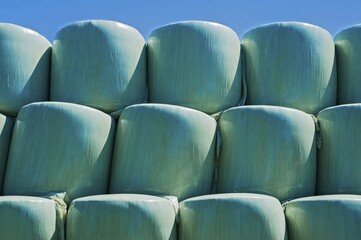 Green silage bales, silage bales in green plastic foil, Upper Bavaria, Bavaria, Germany, Europe