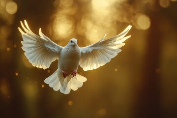 A white bird soaring through the sky, with clouds and blue background