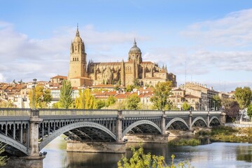 Cathedral with bridge over Tormes river, Salamanca, Castile and Leon, Spain, Europe