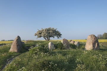 Dolmen from Neolithic period, long barrow with burial chambers, two large boulders as guardian...