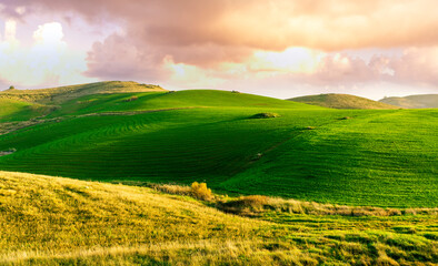 Obraz premium countryside green field during sunrise of sunset in warm light. beautiful spring landscape in the mountains. grassy field and hills. rural scenery