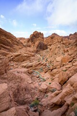 Rainbow Vista Trail, red sandstone rocks, Mojave desert, sandstone formation, Valley of Fire State Park, Nevada, USA, North America