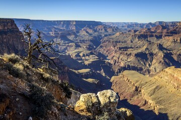 Canyon landscape, gorge of the Grand Canyon, Colorado River, eroded rock landscape, South Rim,...