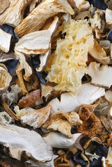 Dried edible mushrooms
