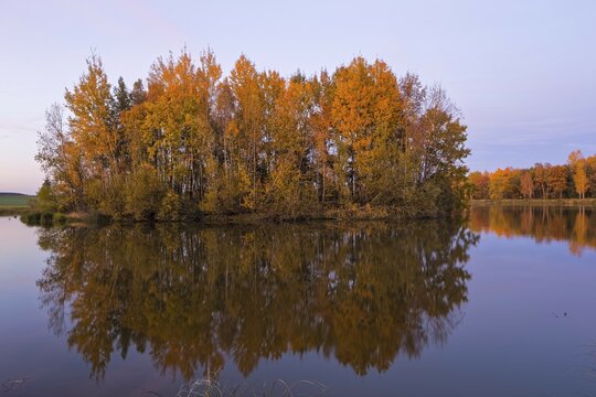 Trees with autumn colouring are reflected in the water, near Plothen, Thuringia, Germany, Europe