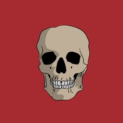 Hand drawn skull on a red background, vector illustration