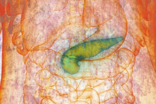 The pancreas is a wedge-shaped organ about 15 cm long, located behind the stomach and in front of the spine. This organ is divided into the pancreatic head, pancreatic body and pancreatic tail