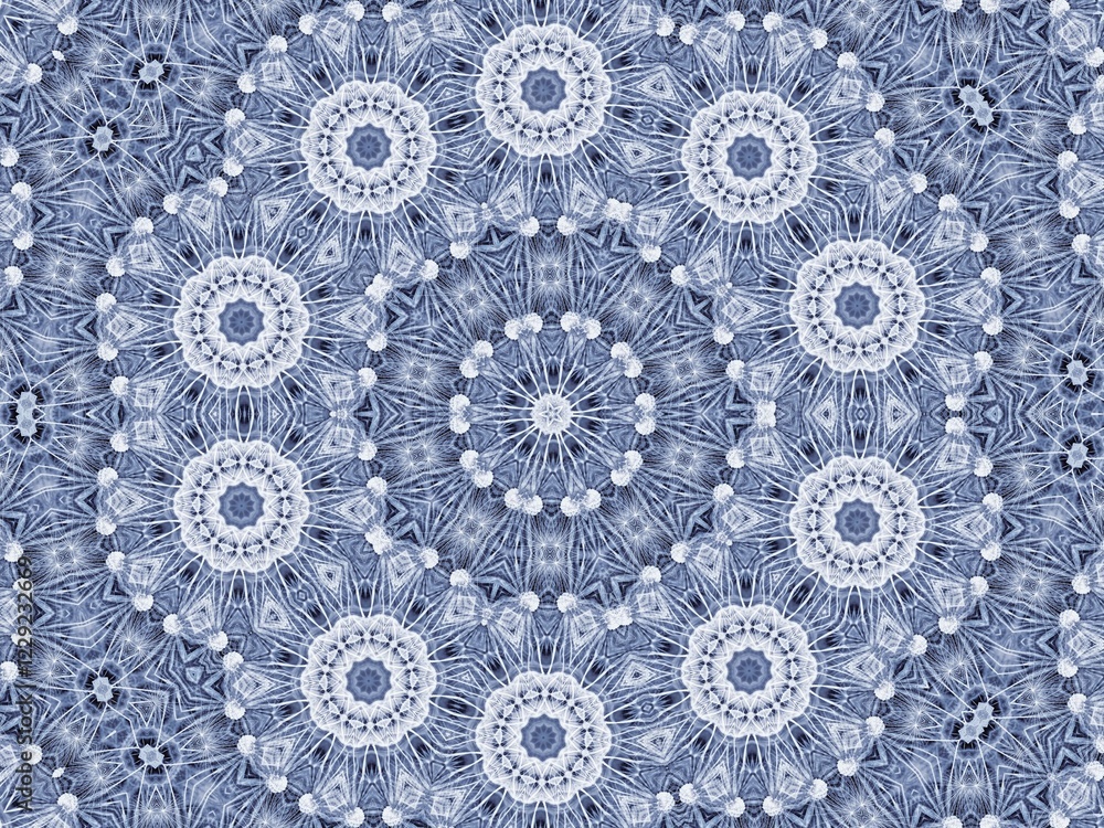 Poster background with abstract radial pattern of natural large dandelion flower