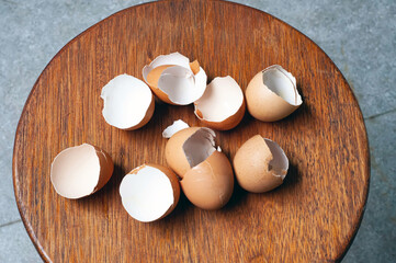 a bunch of chicken egg shells